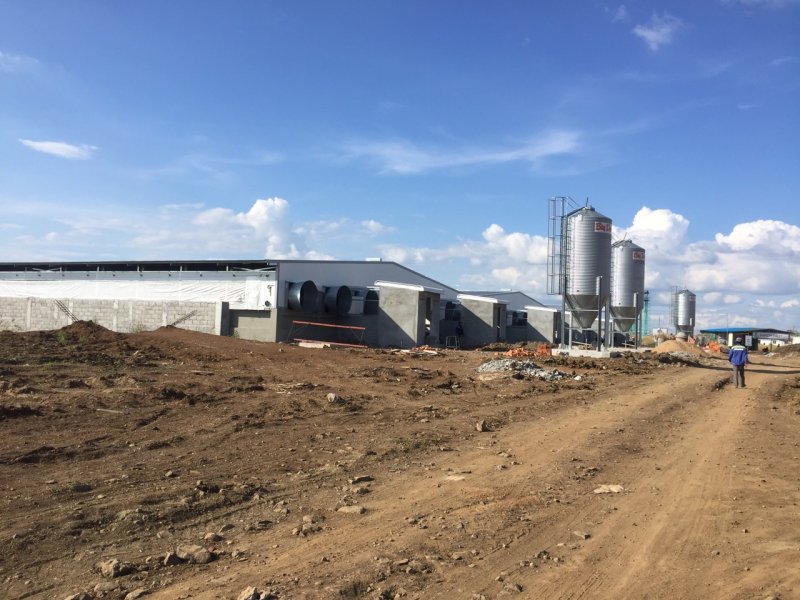 z2224352489500_962f9ec206d72a6d5e51ed070cfd36c9