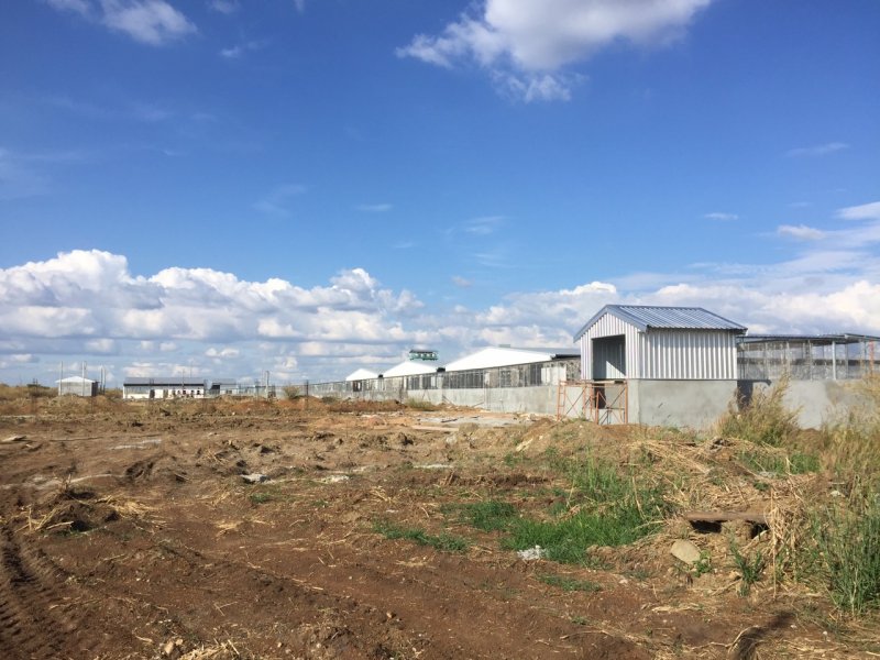 z2224352660760_b0d7c040fc3fff6547ded06c055fc09c