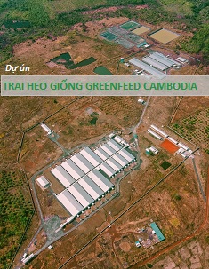 Dự án Trại heo giống Greenfeed Cambodia