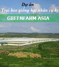 Trại chăn nuôi heo giống hạt nhân cụ kỵ Greenfarm Asia